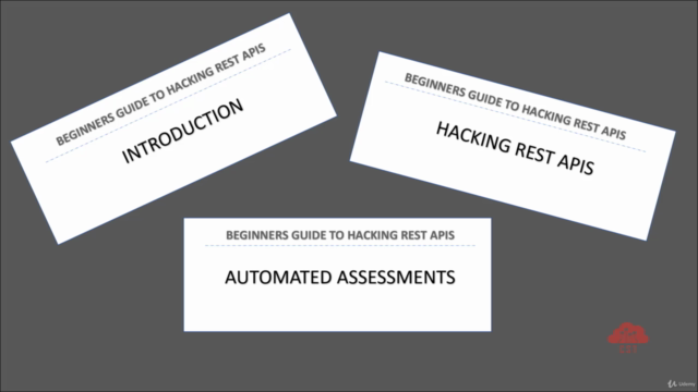 Hacking REST APIs - A beginner's guide – Screenshot 2