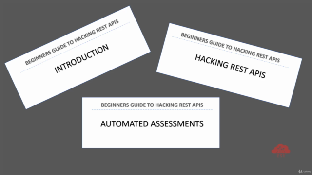 Hacking REST APIs - A beginner's guide – Screenshot 4