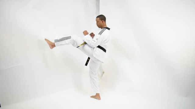 Introduction to Taekwondo – Screenshot 2