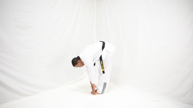 Introduction to Taekwondo – Screenshot 3
