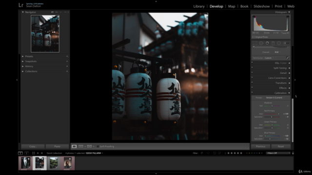 Adobe Lightroom: Finding Your Unique Editing Style – Screenshot 3
