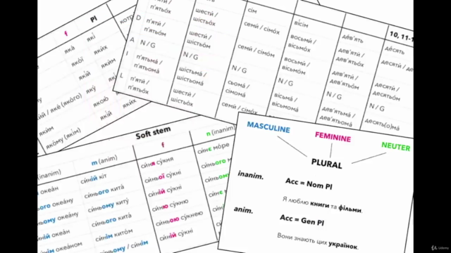 Essential Ukrainian Grammar: Nouns – Screenshot 2