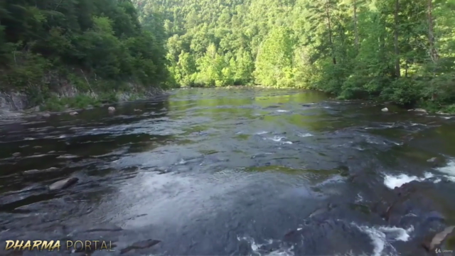 Unlocking The Biohacking Secrets of Water – Screenshot 3