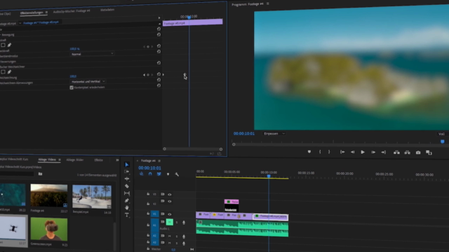 Premiere Pro für Anfänger - Videoschnitt mit Adobe Premiere – Screenshot 1