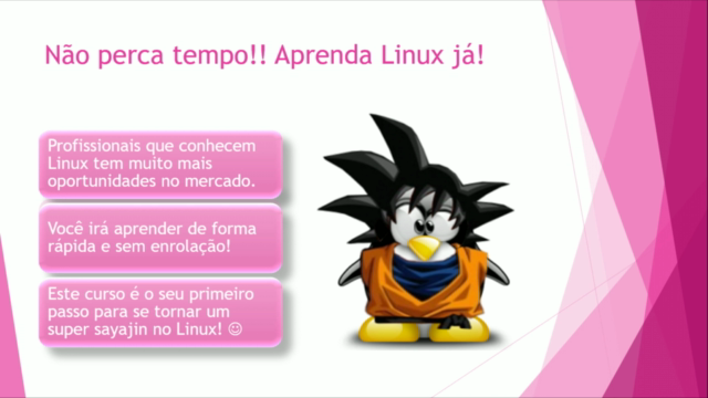 Linux para iniciantes - Ubuntu – Screenshot 4
