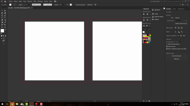 Formation complète Illustrator CC2019 à CC2025 – Screenshot 1
