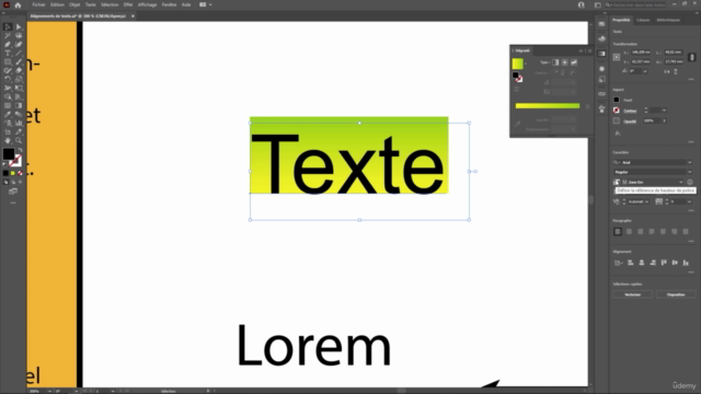Formation complète Illustrator CC2019 à CC2025 – Screenshot 2