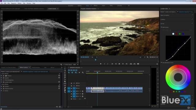 Color Correction in Premiere Pro - from Basic to Advanced – Screenshot 2