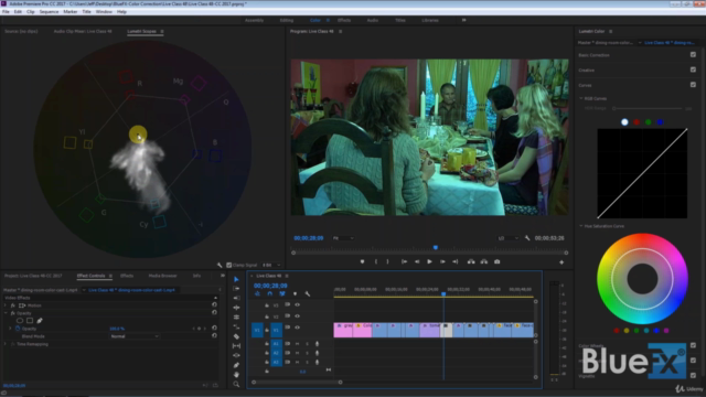 Color Correction in Premiere Pro - from Basic to Advanced – Screenshot 3