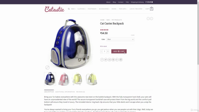 Woocommerce Mastery Create a Professional Dropshipping Store – Screenshot 4