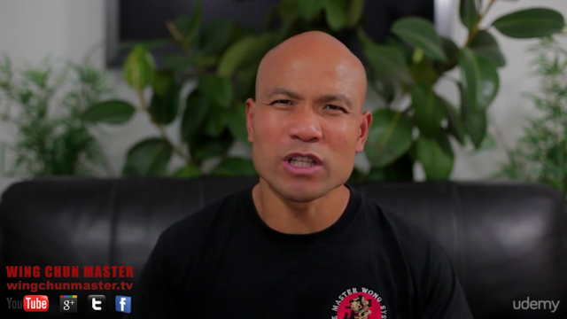 Wing Chun Sil Lim Tao – Screenshot 2
