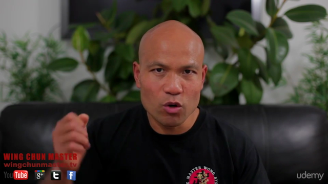 Wing Chun Sil Lim Tao – Screenshot 3