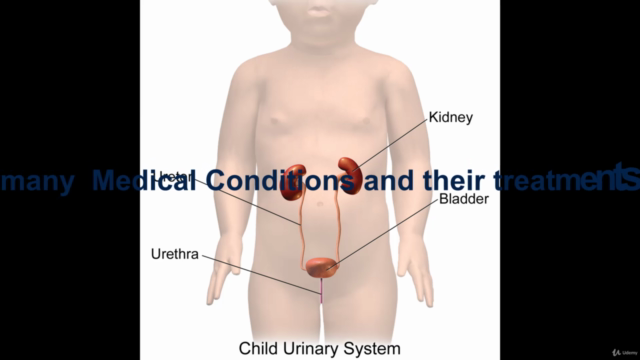 Doctor of Naturopathic Medicine Advanced Diploma – Screenshot 4