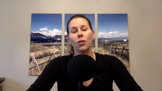 Basic Virtual Assisting – Screenshot 1