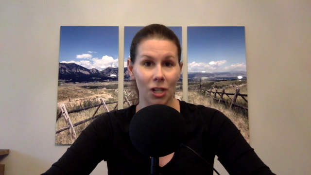 Basic Virtual Assisting – Screenshot 2