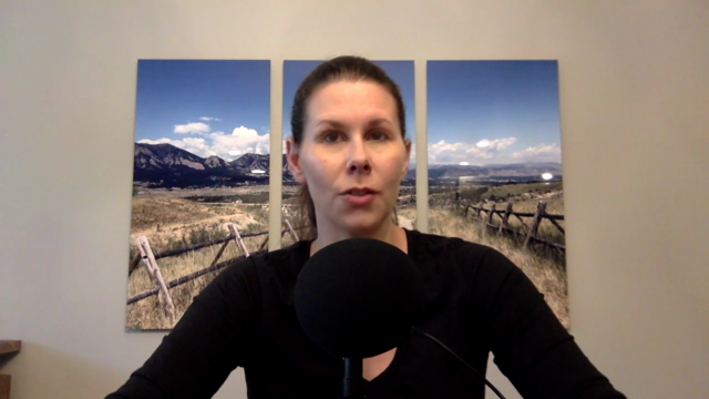Basic Virtual Assisting – Screenshot 4