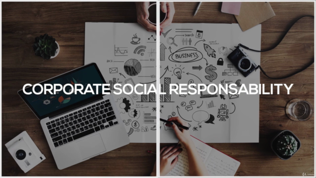 Sustainability Expert – Screenshot 2