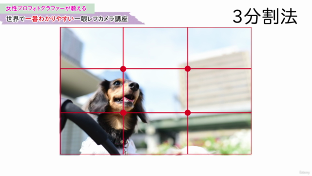 【写真初心者〜中級者】世界で一番わかりやすい一眼レフカメラ講座 – Screenshot 2