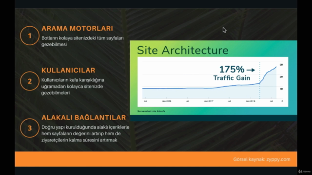 Herkes İçin SEO: Uygulamalı WordPress SEO Eğitimi – Screenshot 3