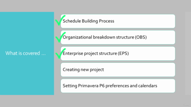 Primavera P6 Project Planning and Scheduling Masterclass - Screenshot_03