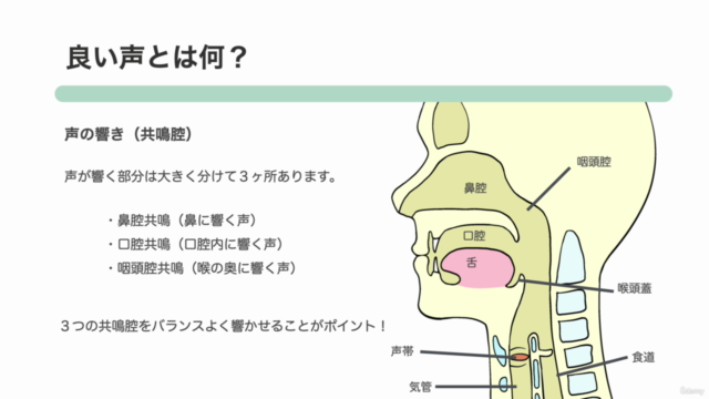 発声と声質改善ボイストレーニング講座【発声に困っているビジネスマン向け】リモートワーク・テレワークの方必見! – Screenshot 3