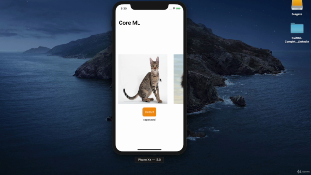 SwiftUI - Declarative Interfaces for any Apple Device - Screenshot_03