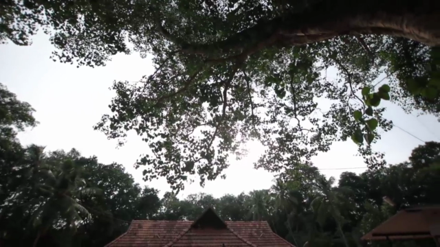 Kalaripayattu. – Screenshot 1