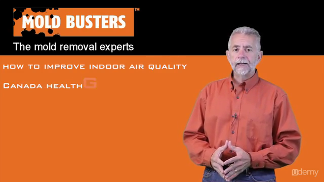Mold / Mould: How to Improve Indoor Air Quality ? – Screenshot 2