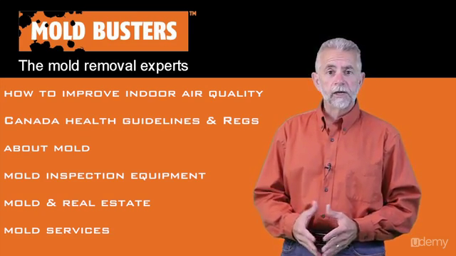 Mold / Mould: How to Improve Indoor Air Quality ? – Screenshot 3