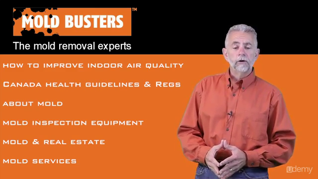 Mold / Mould: How to Improve Indoor Air Quality ? – Screenshot 4