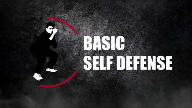 Basic Self Defense. – Screenshot 2