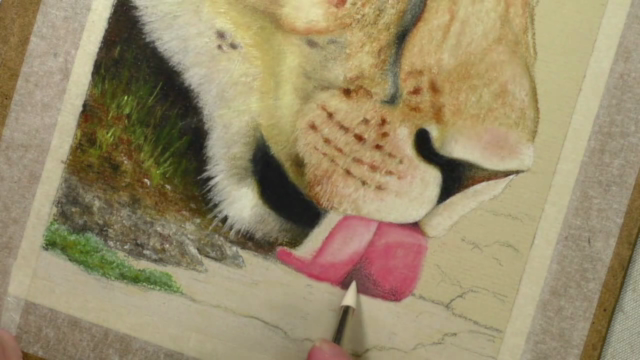 How to Draw Lions, Tigers and Bears using Pastel Pencils – Screenshot 3