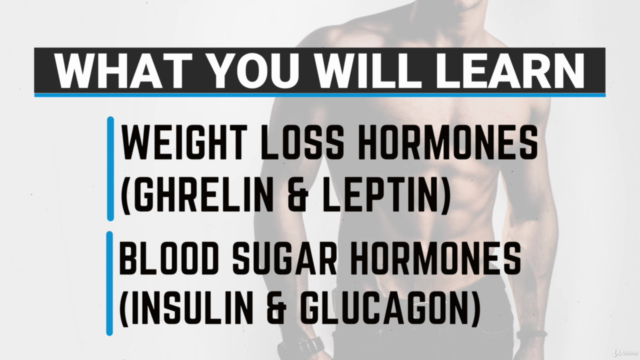 Hormone Health & Testosterone Certification (CPD Accredited) – Screenshot 2
