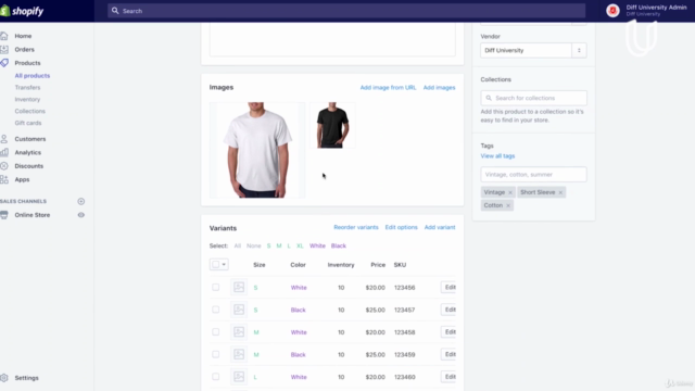 Shopify Beginner Courses by diff – Screenshot 3