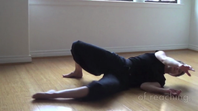 Feldenkrais Awareness Through Movement Lessons: Experienced – Screenshot 2