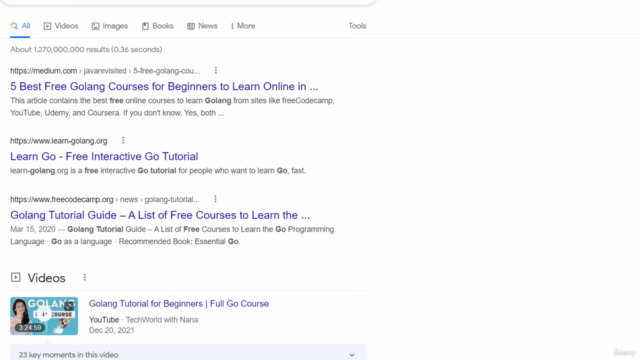 Master Go Programming (Golang): Complete Bootcamp – Screenshot 1