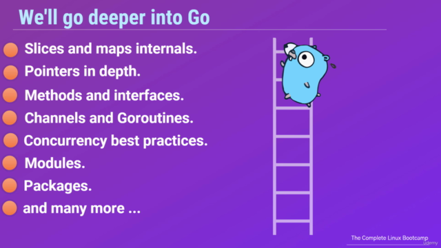 Master Go Programming (Golang): Complete Bootcamp – Screenshot 4