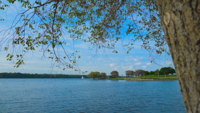 Color Grading & Creating LUTs In Premiere Pro For Beginners – Screenshot 3