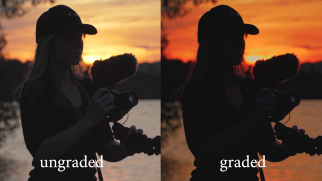 Color Grading & Creating LUTs In Premiere Pro For Beginners – Screenshot 4