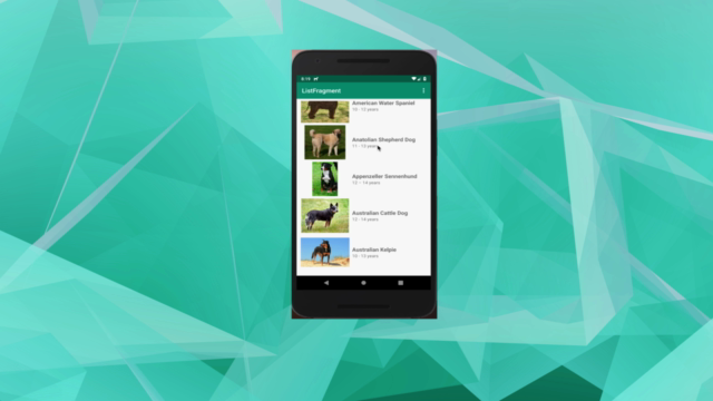 Android Jetpack masterclass in Kotlin – Screenshot 3
