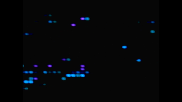 Human Energy Systems Course – Screenshot 3