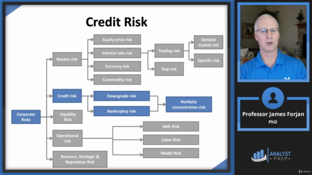 FRM Part 1 - Book 1 - Foundations of Risk Management - Screenshot_02