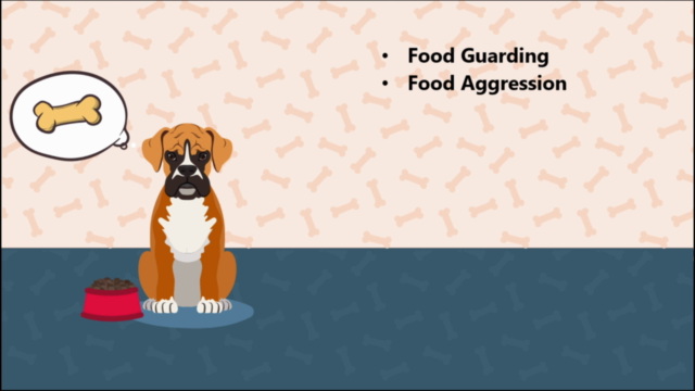 Dog Training: 50 Common Dog Behaviors & Ways to fix them - Screenshot_01