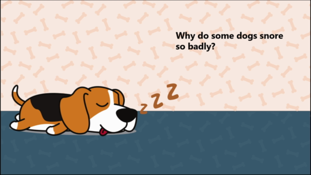 Dog Training: 50 Common Dog Behaviors & Ways to fix them – Screenshot 3
