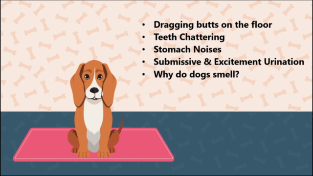 Dog Training: 50 Common Dog Behaviors & Ways to fix them – Screenshot 4