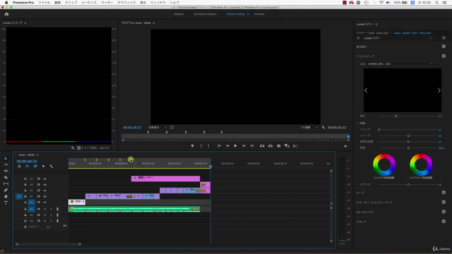 Premiere Pro（プレミアプロ）はじめての動画編集 基礎オンライン講座 - Screenshot_02