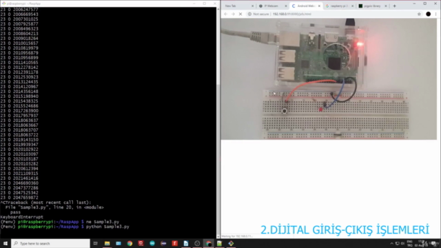 Raspberry Pi ve Nesnelerin İnterneti'ne Giriş – Screenshot 1