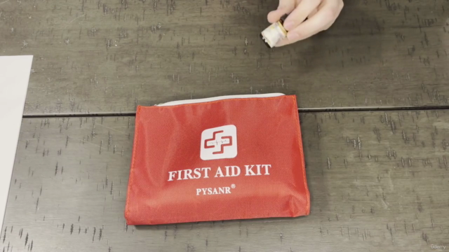 Sustainable First Aid with Herbal Medicine & Remedies – Screenshot 2