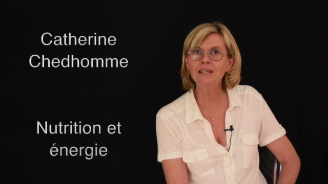 Nutrition et énergie – Screenshot 1