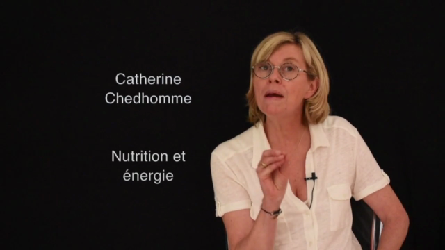 Nutrition et énergie – Screenshot 2